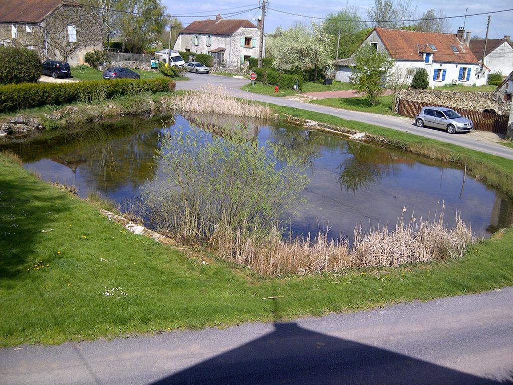 Gite Du Grand Morin Villeneuve-la-Lionne Екстериор снимка